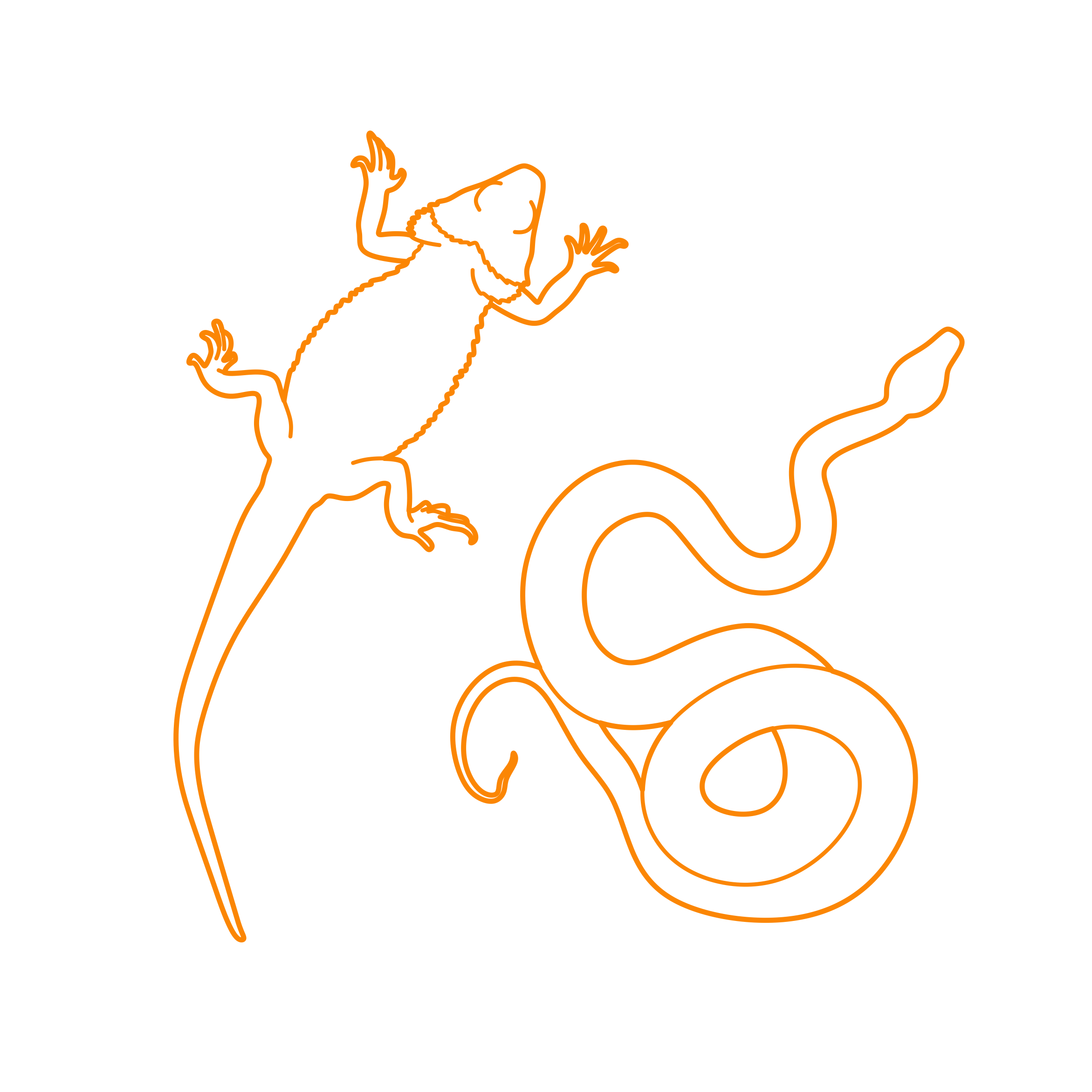 Animals Squamates Outline Icon Svg Set Free Vectors